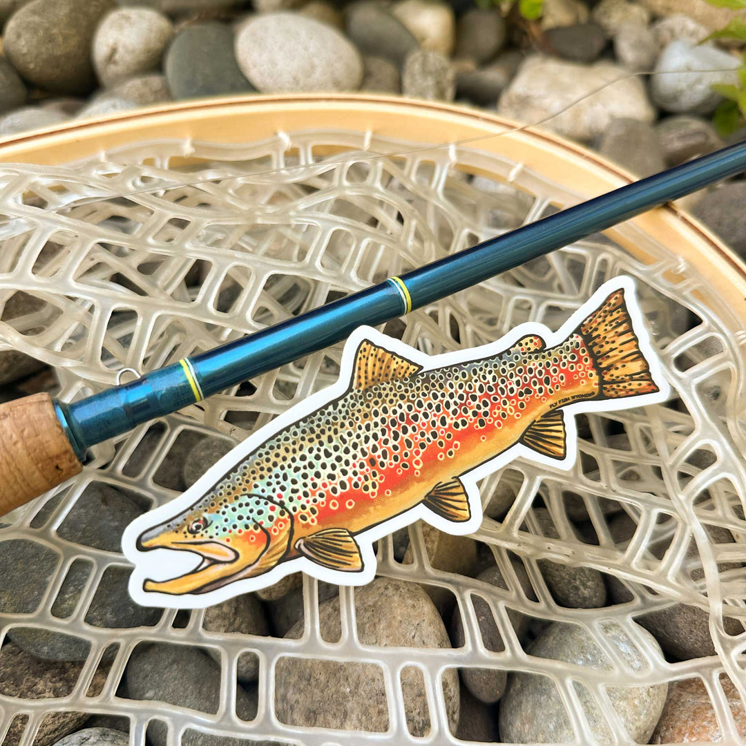 Trout Species Series - Brown Trout Sticker
