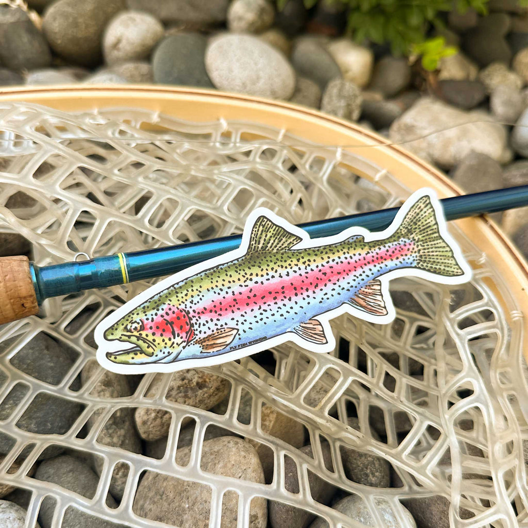 Trout Species Series - Rainbow Trout Sticker