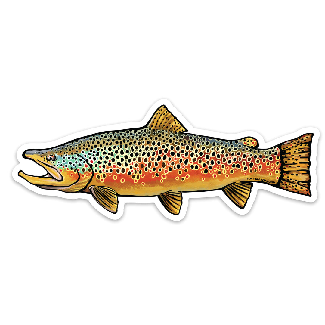 Trout Species Series - Brown Trout Sticker