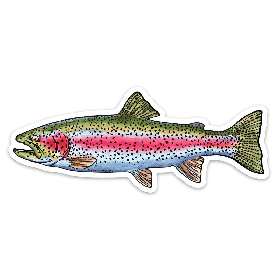 Trout Species Series - Rainbow Trout Sticker