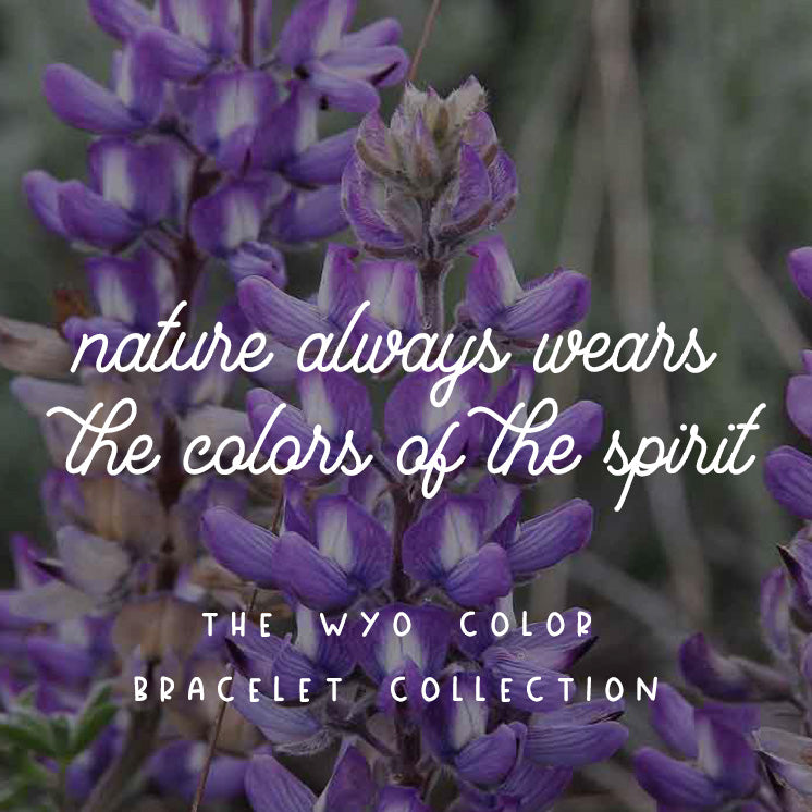 Wyo Colors Bracelet Collection