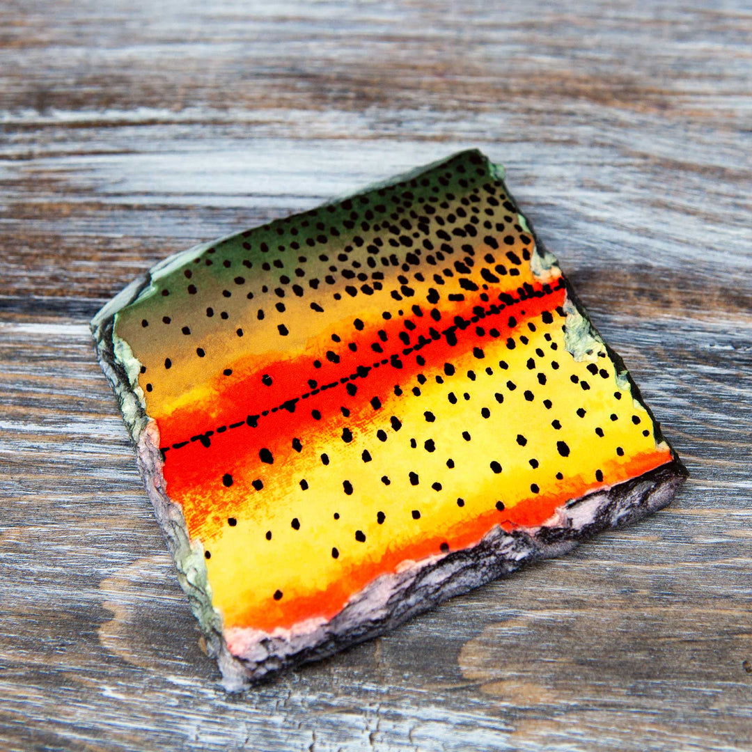 Fly Fish Wyoming Home Goods Trout Pattern Slate Coaster Sets
